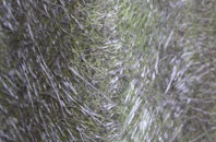 Colestocks fibreglass roof work